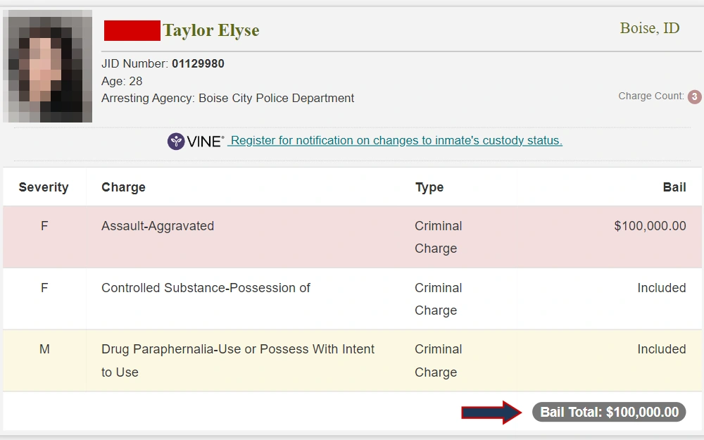 A screenshot from the Ada County Sheriff's Office displays an inmate's mugshot, name, jail inmate ID number, age, arresting agency, and charge count, followed by a table for offenses including severity, charges, types, and bail amounts.