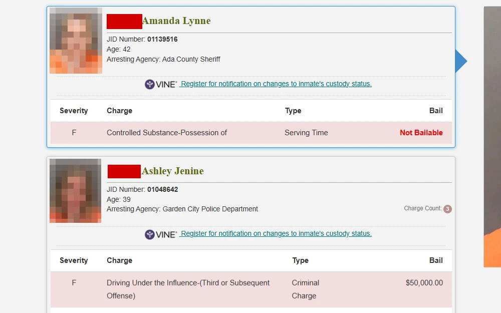 A screenshot of the Ada County Sheriff's Office inmate roster's sample search results displaying each individual's mugshot, full name, JID number, age, arresting agency, VINE link and charge(s) details.